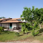 Kır Evi Ninea *