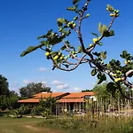 Kır Evi Ninea Ricadi
