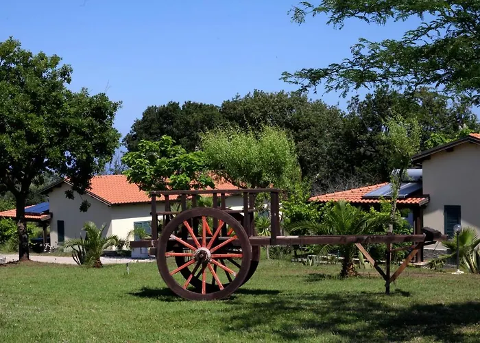 Ninea 乡村民宿 里卡迪