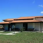 Ninea