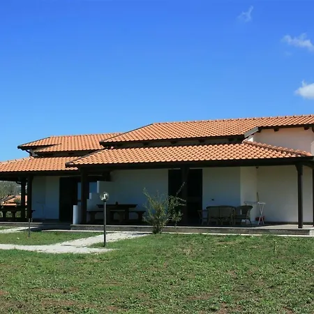 Ninea