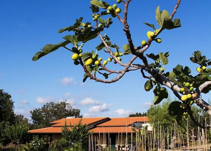 Hétvégi ház Ninea Ricadi